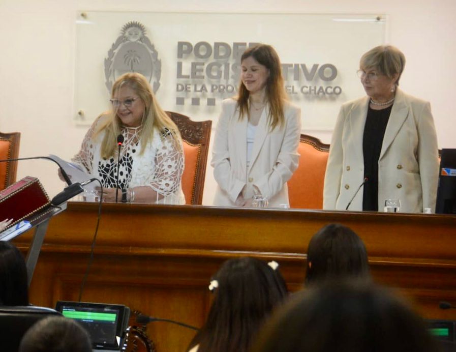 EDUCACIÓN: 32 ESTUDIANTES ASUMIERON EL DESAFÍO DE REPRESENTAR A LOS JÓVENES Y CONTRIBUIR CON EL FUTURO DE LA PROVINCIA.