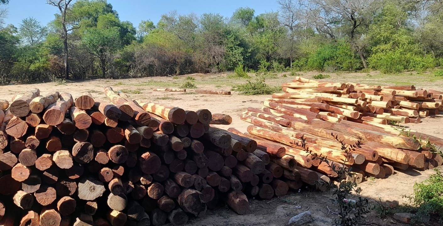 BOSQUES SECUESTRÓ 350 POSTES DE QUEBRACHO COLORADO.  