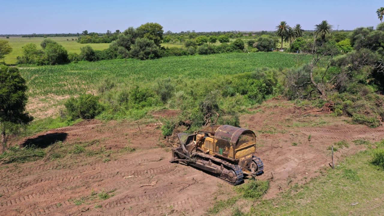 CORZUELA: BOSQUES DETUVO OTRO DESMONTE ILEGAL.  